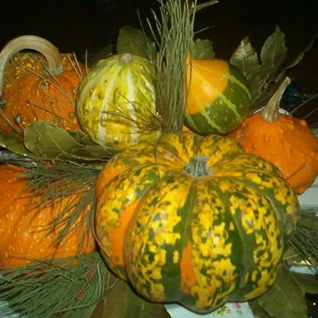 Sa Muredda 3* Sardara