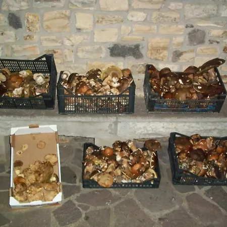 Nocleg ze śniadaniem Sa Muredda