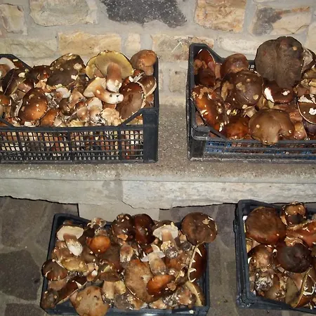 Sa Muredda Nocleg ze śniadaniem