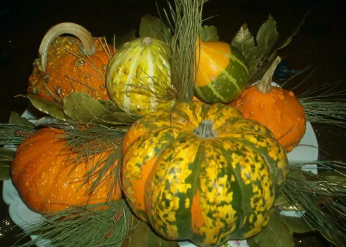 Sa Muredda 3* Sardara