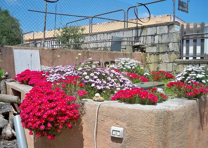 Sa Muredda 3* Sardara