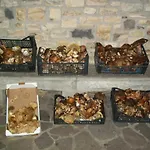 B&B Sa Muredda