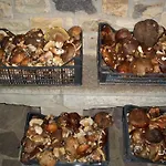 Sa Muredda B&B