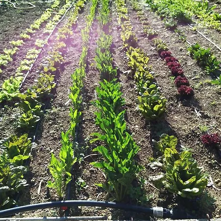 Sa Muredda 3* Sardara