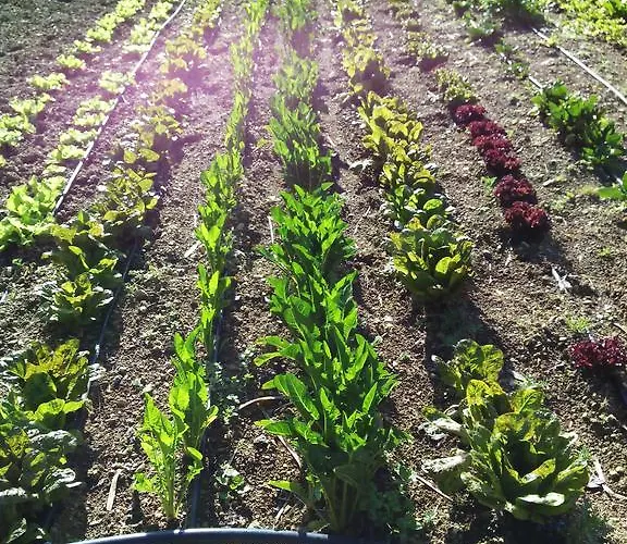 Sa Muredda 3* 萨尔达拉