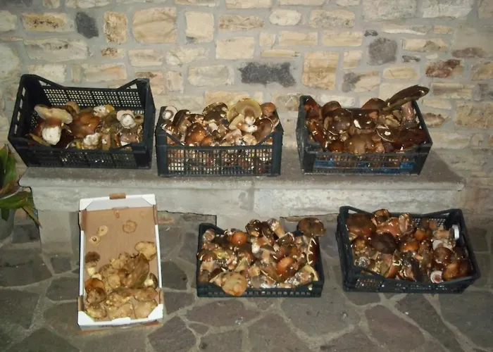 住宿加早餐酒店 Sa Muredda