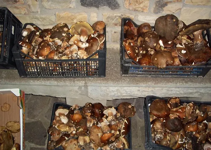 Sa Muredda 住宿加早餐酒店