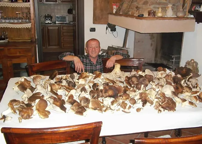 Sa Muredda 住宿加早餐酒店